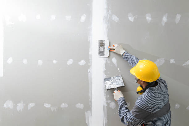 Best Industrial Mold Remediation  in The Plains, OH