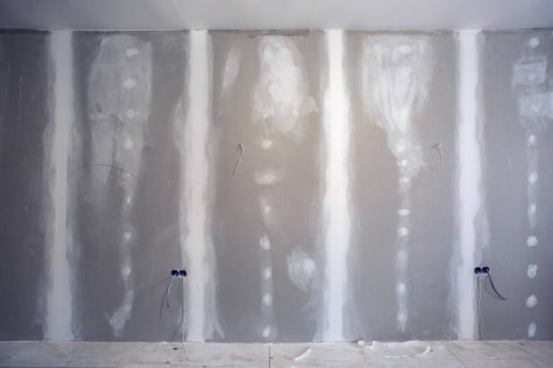 Best Mold Prevention Services  in The Plains, OH